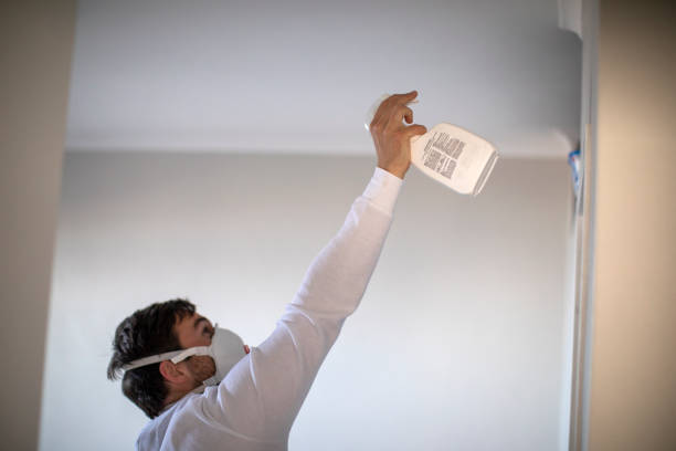 Best Mold Damage Repair  in Clintwood, VA