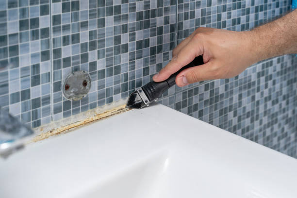 Home Mold Removal in Clintwood, VA