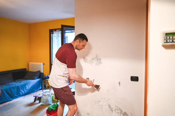 Best Residential Mold Removal  in Clintwood, VA